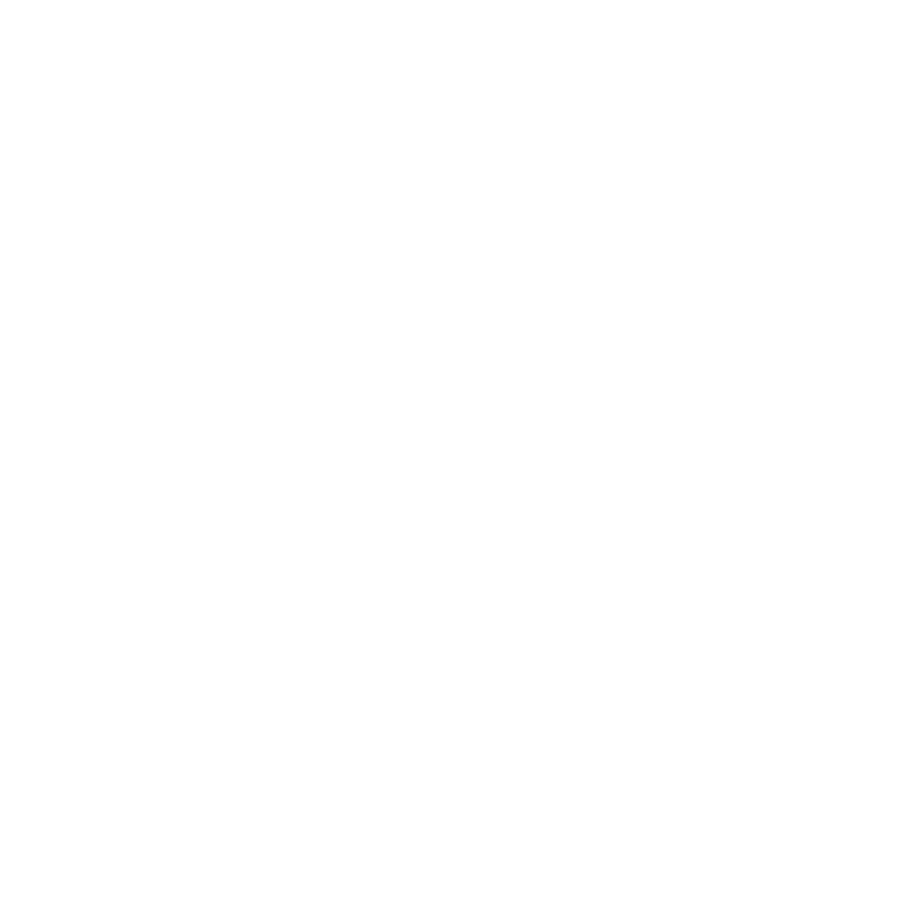 Young Lions